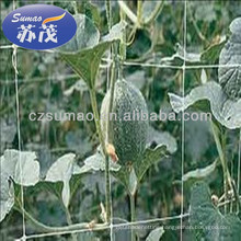 Knotless Hdpe Plant Support Net , Anti UV Agriculture Cucumber Net